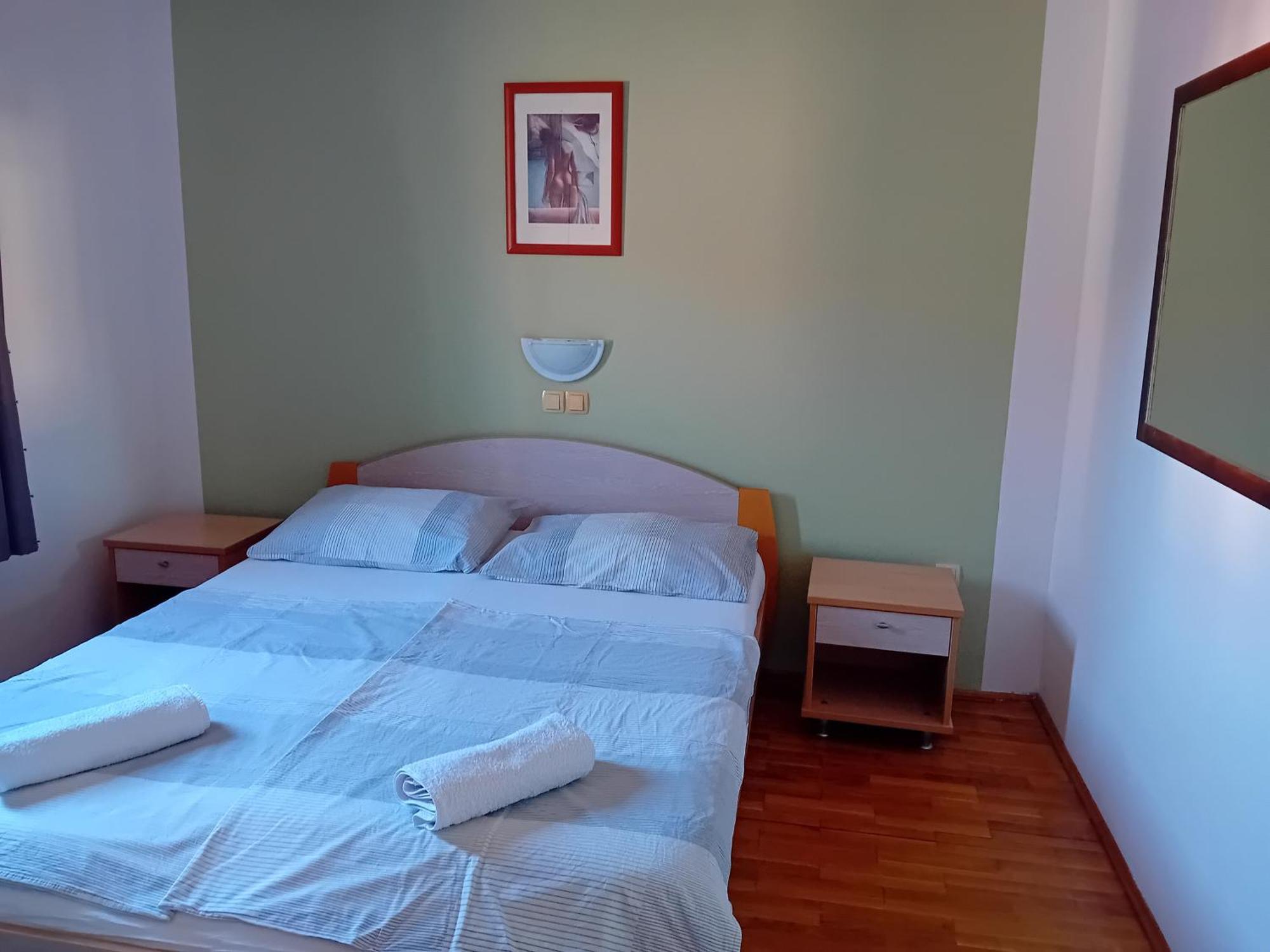 Apartmani Ana I Predrag ロパール 部屋 写真
