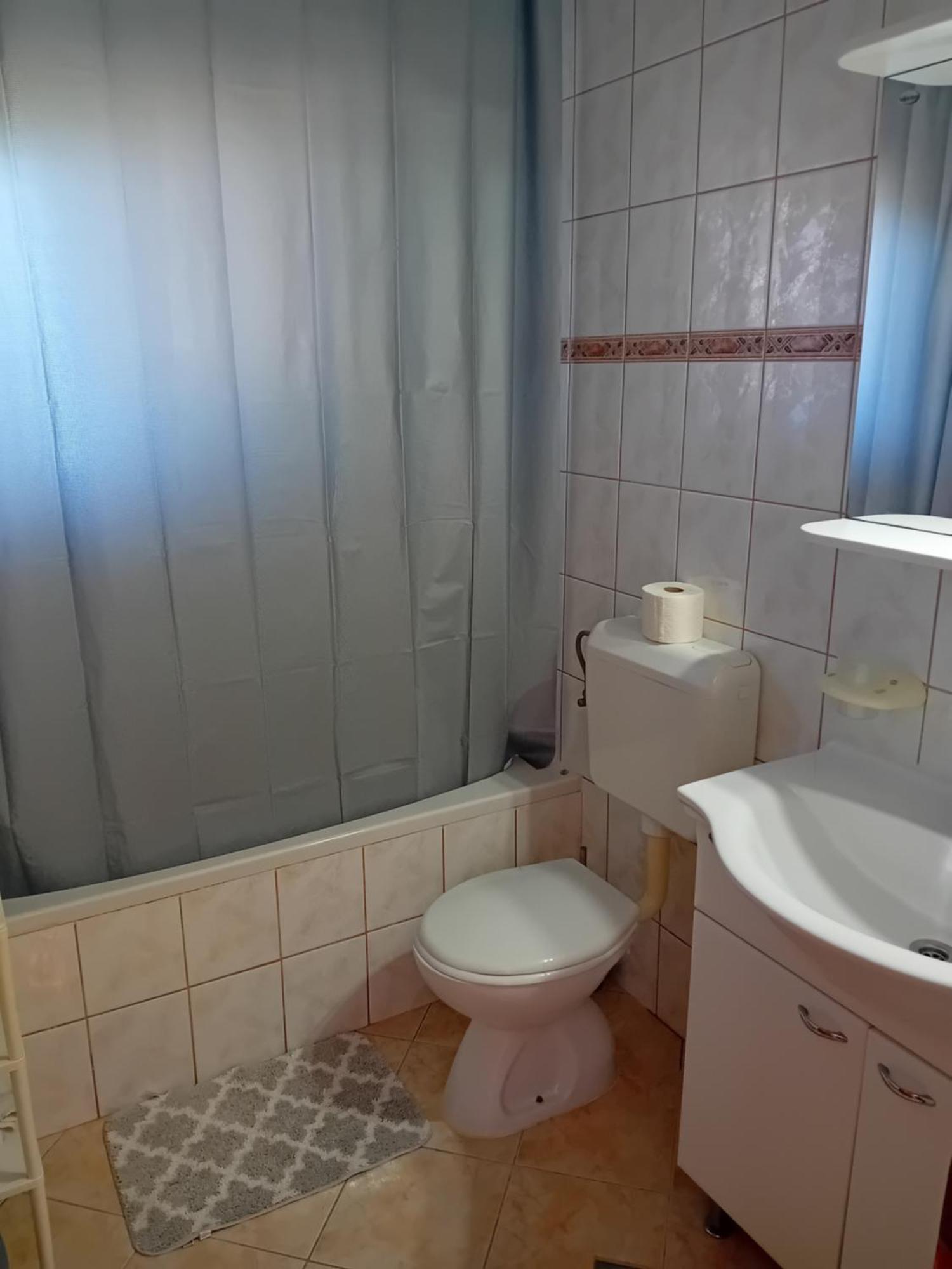 Apartmani Ana I Predrag ロパール 部屋 写真